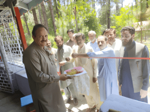 Harding granding Cause Sub